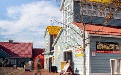 Why Farmers Markets